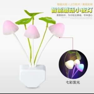 ILLUMINOUS FLOWER LAMP