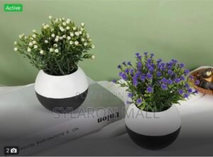 %%image_title%% – Buy Online in Ghana | Sylaron Imports