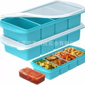 Silicon Compartment Food Storage & Meal Prep Container